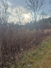 *Registration closed WINTER SOLSTICE REST & RESTORE RETREAT